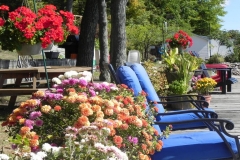 b6452dfa-4f87-468b-9611-8ff0536e1438